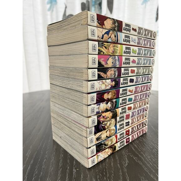 Black Cat Manga Volumes 1-13 English by Kentaro Yabuki - Paperback 1st Eds - Picture 6 of 16